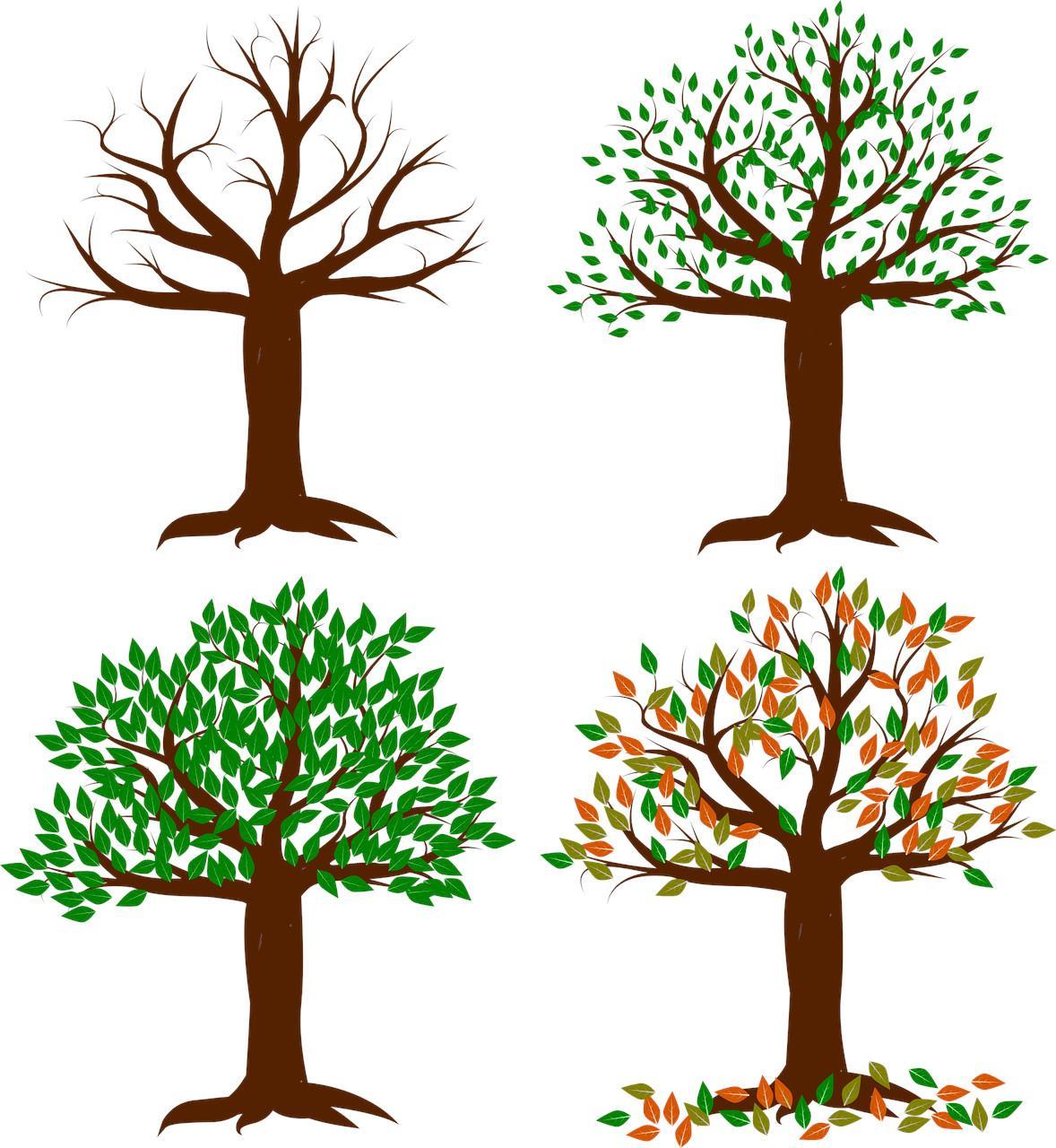 4 Jahreszeiten Bild Baum