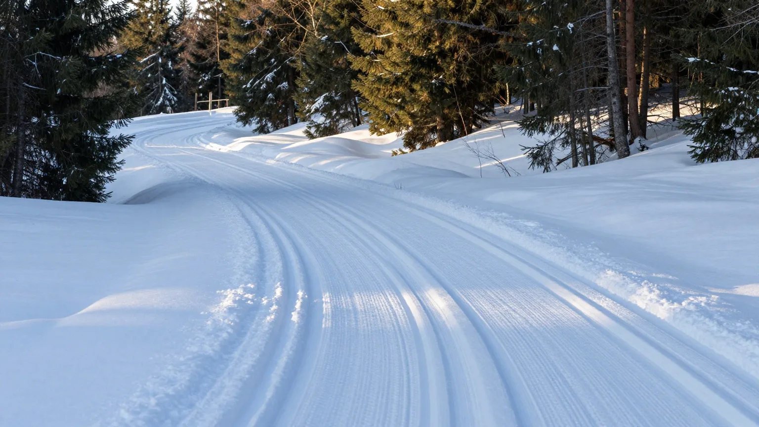 Gespurte Langlaufloipe auf einer verschneiten Lichtung im Fichtenwald eines Mittelgebirges