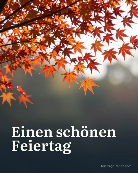 Rote und orange Ahornblätter im Gegenlicht der Oktobersonne