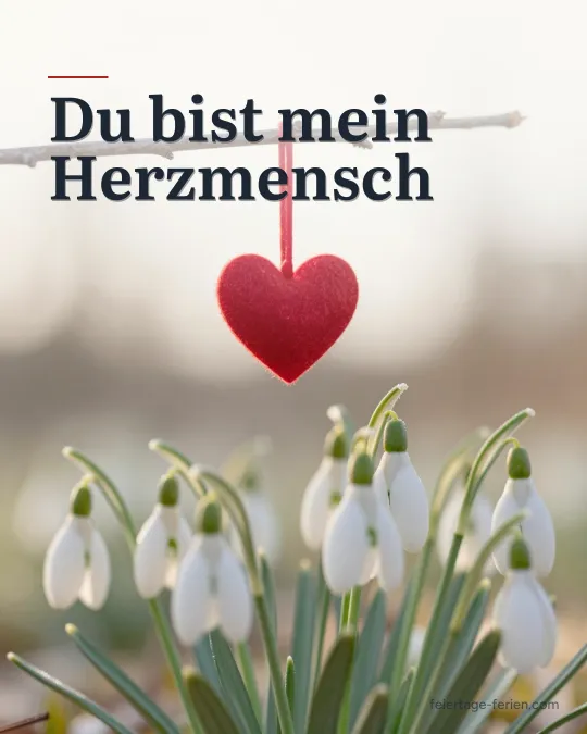 Schneeglöckchen in der Wintersonne, darüber ein kleines rotes Filzherz an einem Zweig