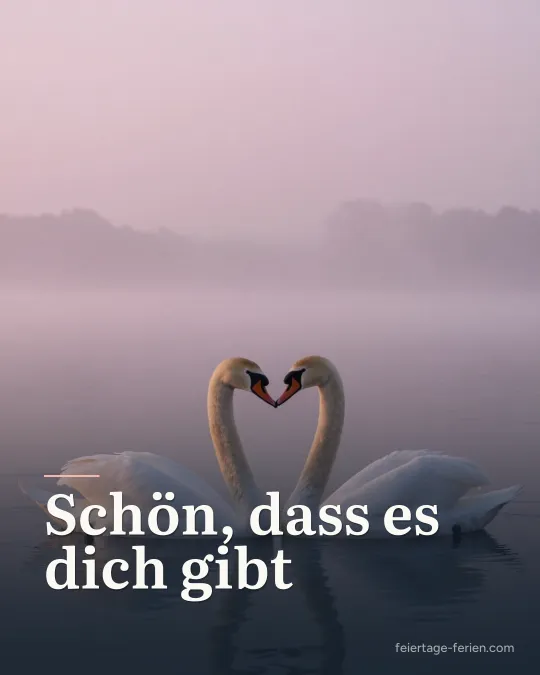 Zwei Schwäne auf einem nebligen See bei Sonnenaufgang, deren Hälse ein Herz formen
