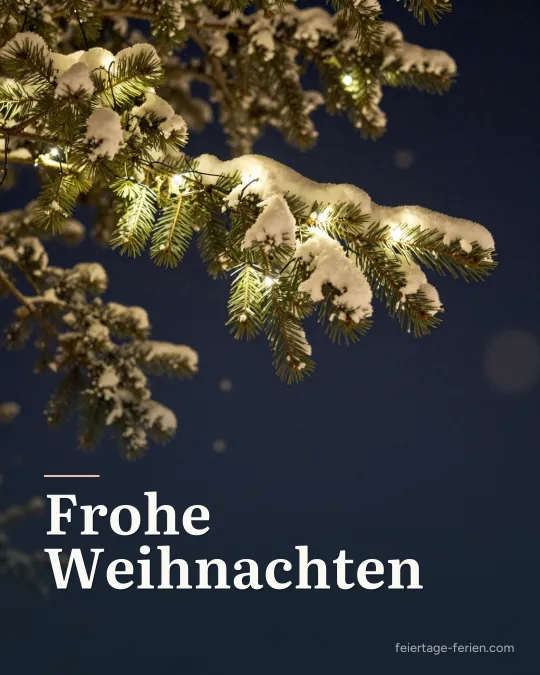 Verschneite Tannenzweige mit warm leuchtender Lichterkette vor nachtblauem Hintergrund