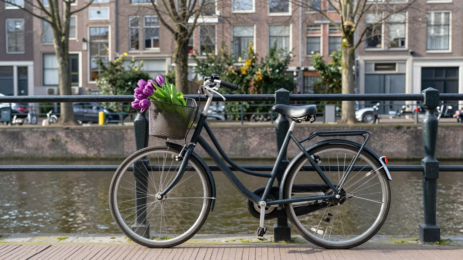 Fahrrad mit einem Strauß lila Tulpen im Korb an einem Geländer am Kanalufer