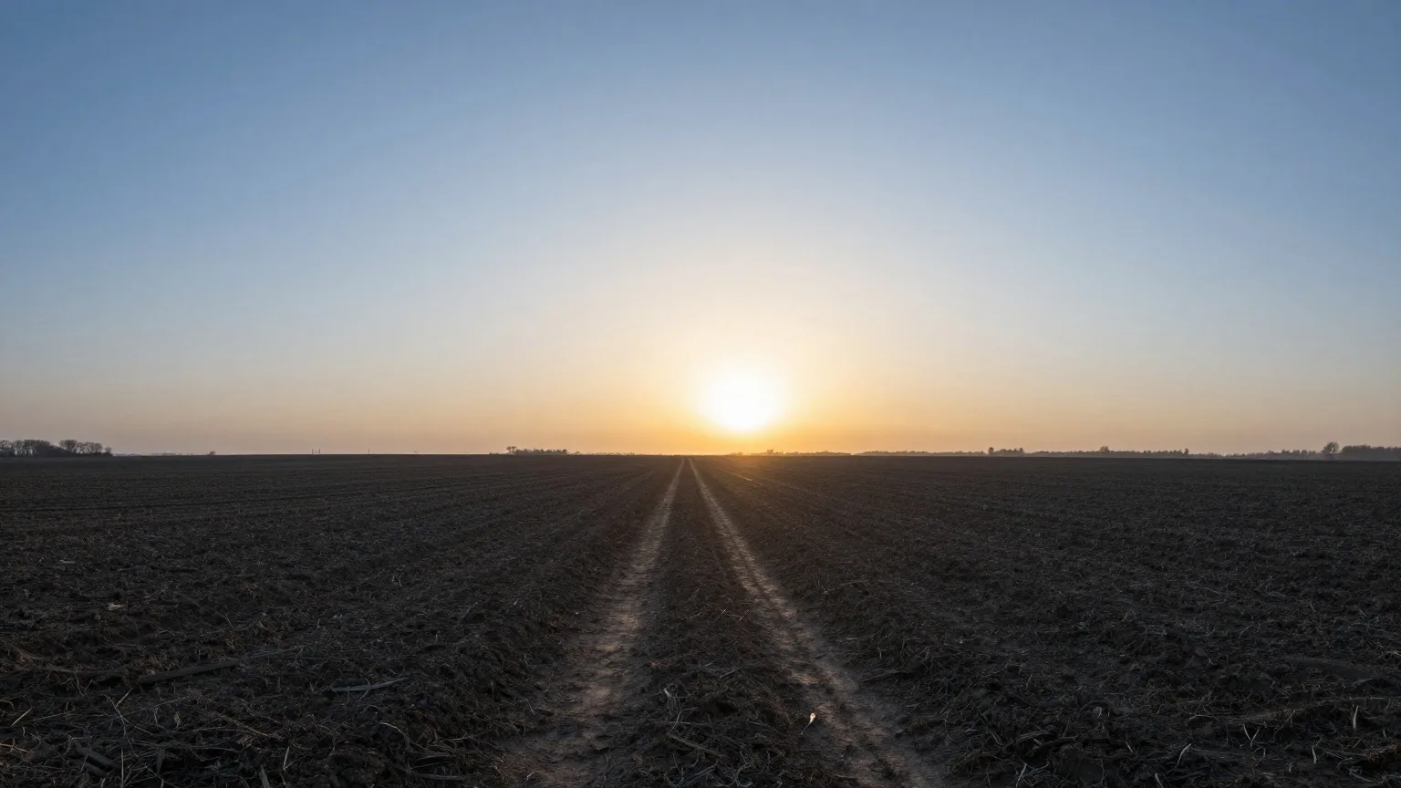Sonnenaufgang über flachem Ackerland, die Sonne steht genau im Osten