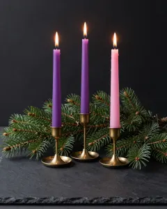 Drei brennende schlanke Kerzen, zwei violette und eine rosa, in Messinghaltern zwischen Tannenzweigen