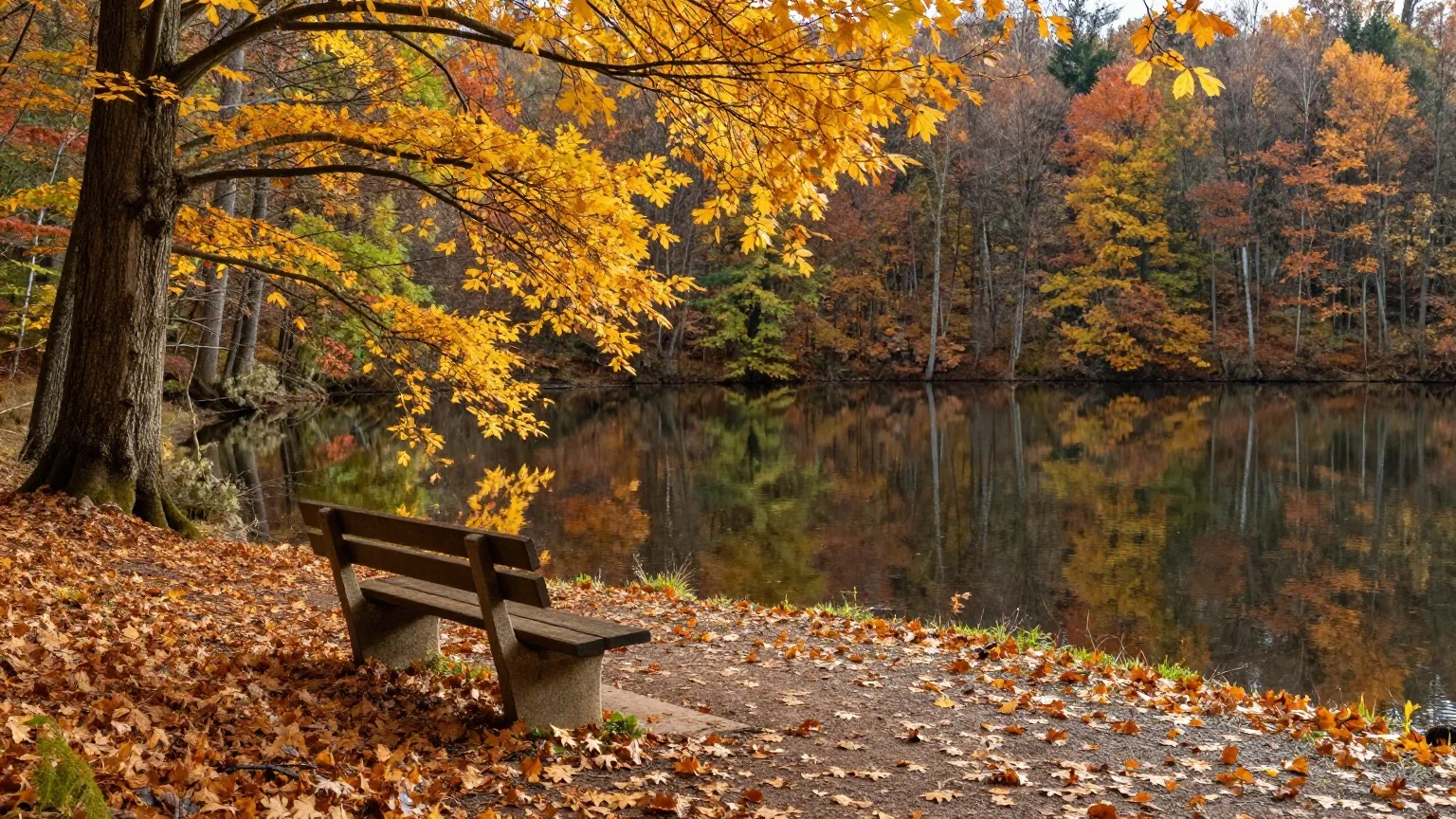 Waldsee im Oktober mit goldenem Buchenlaub und einer Holzbank am Ufer