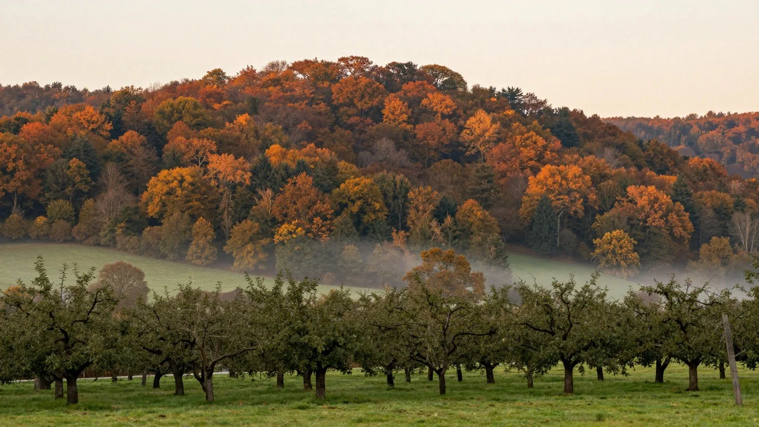 KI-generierte Landschaft, wie sie für den Taunus in Hessen typisch ist