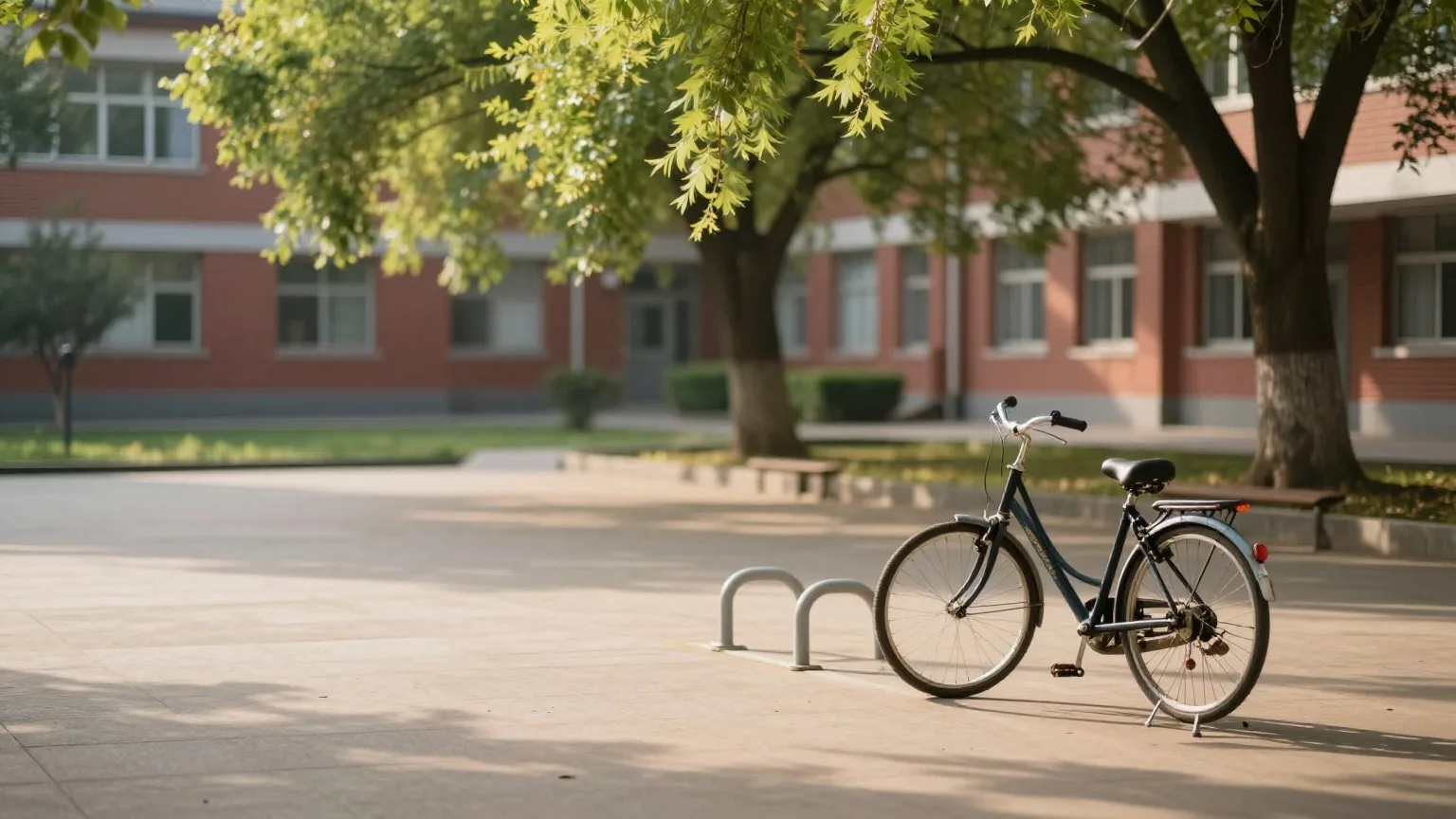 Leerer Schulhof mit einem Fahrrad am Fahrradständer unter Linden im Sommer